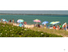 People relax under colorful beach umbrellas on a sandy Martha’s Vineyard beach, with greenery and blue water beyond—a perfect panoramic scene captured in “Martha’s Vineyard Wide” from Schiffer Publishing, Ltd.
