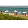 People relax under colorful beach umbrellas on a sandy Martha’s Vineyard beach, with greenery and blue water beyond—a perfect panoramic scene captured in “Martha’s Vineyard Wide” from Schiffer Publishing, Ltd.
