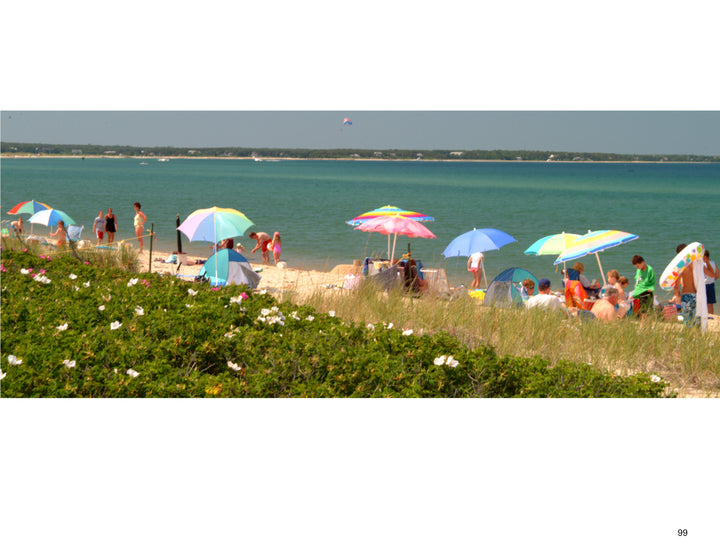 People relax under colorful beach umbrellas on a sandy Martha’s Vineyard beach, with greenery and blue water beyond—a perfect panoramic scene captured in “Martha’s Vineyard Wide” from Schiffer Publishing, Ltd.