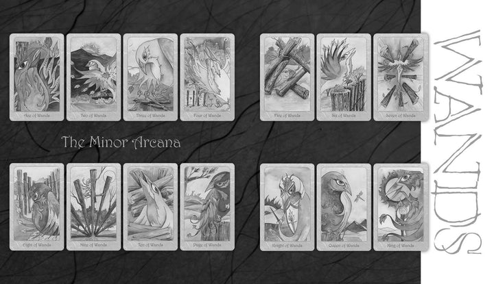 A grayscale illustration of twelve Wands cards from the Dream Raven Tarot by Schiffer Publishing, Ltd., features fantasy dragon motifs in two rows, with "Minor Arcana" and "WANDS" inscribed in a mystical style.