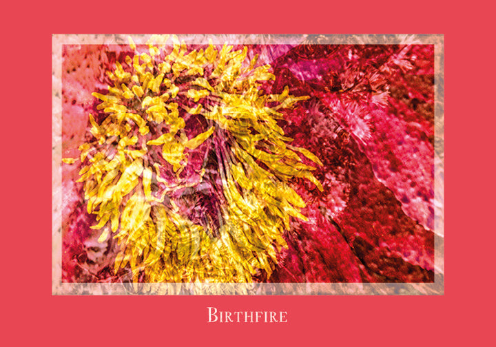 Abstract close-up of a vibrant yellow and red flower with a pink textured border and “Birthfire” at the bottom center, featured in Gaia's Vision Oracle Cards by Schiffer Publishing, Ltd.—an intuitive, nature-inspired photographic art card.