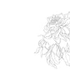 Kristy's Spring Cutting Garden by Schiffer Publishing, Ltd. offers flower drawings inspired by Kristy Rice—ideal for watercolor painting enthusiasts or anyone creating spring-themed watercolor coloring book pages.