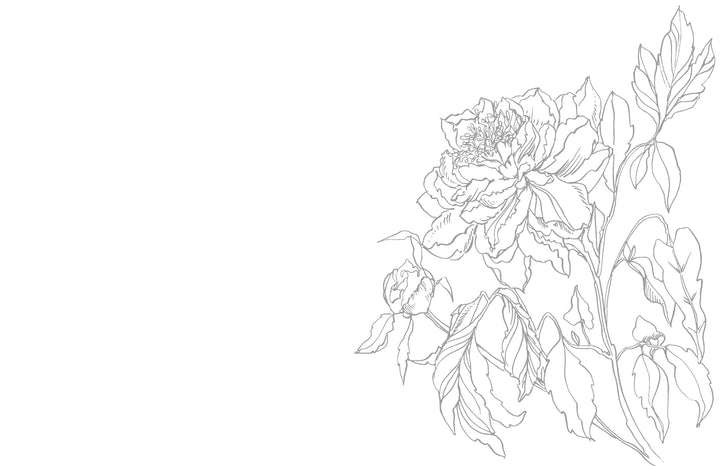 Kristy's Spring Cutting Garden by Schiffer Publishing, Ltd. offers flower drawings inspired by Kristy Rice—ideal for watercolor painting enthusiasts or anyone creating spring-themed watercolor coloring book pages.