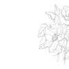 A black and white line drawing of blooming magnolias and leaves from Kristy's Spring Cutting Garden by Schiffer Publishing, Ltd. appears on the right of a white background, leaving ample blank space on the left.