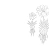 A black-and-white line drawing of three large blooming flowers with foliage, clustered on the right against a white background. "Kristy's Summer Cutting Garden" by Schiffer Publishing, Ltd. is ideal for watercolor coloring book fans.