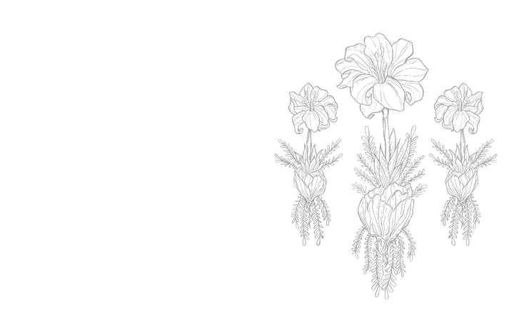 A black-and-white line drawing of three large blooming flowers with foliage, clustered on the right against a white background. "Kristy's Summer Cutting Garden" by Schiffer Publishing, Ltd. is ideal for watercolor coloring book fans.
