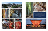 A collage for Schiffer Publishing, Ltd.'s "Cotton & Indigo from Japan": temples, bamboo forest, sushi chefs, Buddha statue, women in kimonos, vivid indigo fabric, and a glowing shrine at dusk—celebrating Japanese beauty and tranquility.