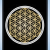 From the Sacred Geometry Healing Cards by Schiffer Publishing, Ltd., this card features a gold Flower of Life pattern on black, “Flower of Life Cocoon Stage” text below, and the number 13 inside a winged emblem at the top.