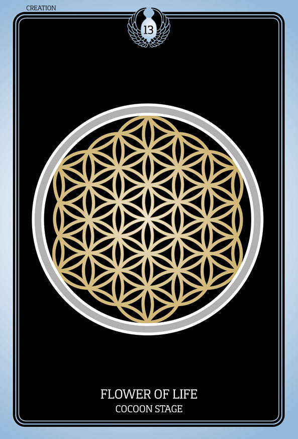 From the Sacred Geometry Healing Cards by Schiffer Publishing, Ltd., this card features a gold Flower of Life pattern on black, “Flower of Life Cocoon Stage” text below, and the number 13 inside a winged emblem at the top.