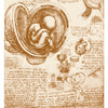 Sepia sketch of a fetus in a womb with anatomical drawings and notes, labeled "Three of Fire - Matrix," reminiscent of Leonardo da Vinci’s style. From the Da Vinci Enigma Tarot (Deck and Guidebook Box Set) by Schiffer Publishing, Ltd.
