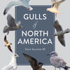 9780764362941