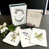 The Listening to Flowers card set from Schiffer Publishing, Ltd. is shown on a black surface with three illustrated cards—camellia, cyani, and pine—and a sprig of white flowers beside it, highlighting themes of emotional well-being.