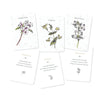 Three illustrated flower cards from "Listening to Flowers" by Schiffer Publishing, Ltd. (Cherry Plum, Mimulus, Water Violet) feature delicate drawings, plant names, Bach flower remedies, and affirmations for emotional well-being.