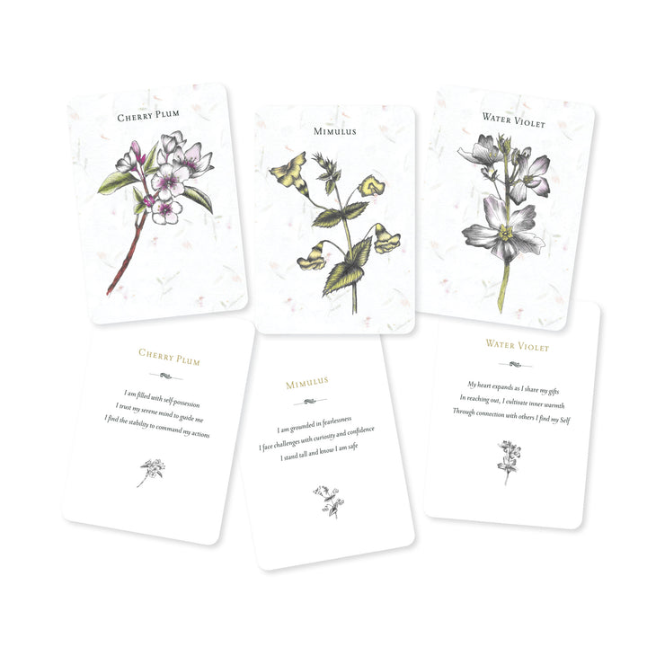Three illustrated flower cards from "Listening to Flowers" by Schiffer Publishing, Ltd. (Cherry Plum, Mimulus, Water Violet) feature delicate drawings, plant names, Bach flower remedies, and affirmations for emotional well-being.