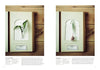 The Herbarium of Fabric Flowers by Schiffer Publishing, Ltd. features framed botanical displays—lily of the valley (left) and snowdrop (right)—with scientific details, ideal inspiration for naturalist fiber art and fabric flower patterns.