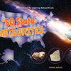 The 50 State Unofficial Meteorites : A Guidebook for Aspiring Meteoriticists By Yinan Wang