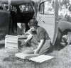 A woman kneels on grass by an open car door, arranging papers as a box labeled Ideal sits inside—a scene reflecting the dedication of women featured in "Heroines of Horticulture" by Schiffer Publishing, Ltd.