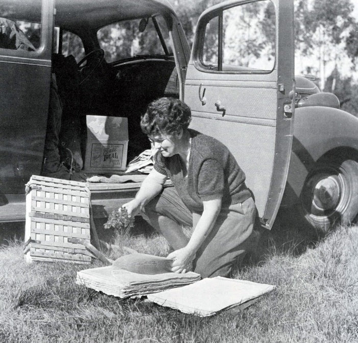 A woman kneels on grass by an open car door, arranging papers as a box labeled Ideal sits inside—a scene reflecting the dedication of women featured in "Heroines of Horticulture" by Schiffer Publishing, Ltd.