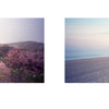 Village Beaches by Schiffer Publishing, Ltd. features a soft-focus diptych: foggy coastal dunes with wildflowers on the left and an empty East Hampton beach with a lifeguard chair, sand, and grassy dunes under a pastel sky on the right.