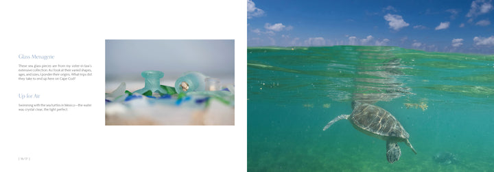 A sea turtle surfaces in a split-view photo from "Beaches" by Schiffer Publishing, Ltd.; blurred glass and text on the left highlight sea glass and the turtle’s ascent in Amy Dykens’ signature beach photography style.