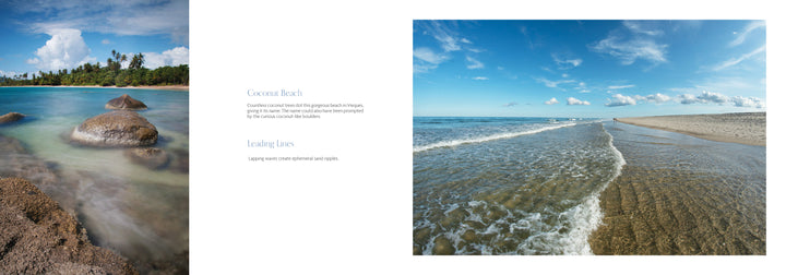 A tropical beach scene—clear blue water, smooth rocks, palm trees left, gentle waves right—featured in "Beaches" by Schiffer Publishing, Ltd.; ideal for fans of beautiful beach photography.