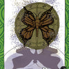 A brown butterfly with a shadow rests before a circle of symbols against a swirling green background. "Winter/Transformation" and "Exercise/Winter" appear near a green apple and the number 16, promoting The Healthy Witch Oracle Cards by Schiffer Publishing, Ltd.