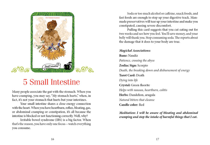 A two-page spread from The Healthy Witch Oracle Cards by Schiffer Publishing, Ltd. showcases the green-bordered 5 Small Intestine tarot-style card and explores digestive health, spiritual connections, and magick for the Healthy Witch.
