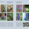 Discover "The Wild Alps" by Schiffer Publishing, Ltd.—a photo book collage of chamois, owl, falcon, vulture, wildflowers, butterflies, and breathtaking Alpine views. Ideal for nature lovers and Alps photography enthusiasts.