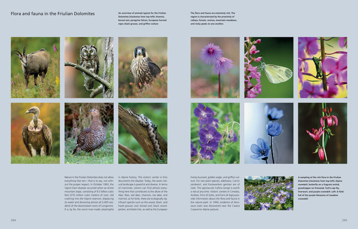 Discover "The Wild Alps" by Schiffer Publishing, Ltd.—a photo book collage of chamois, owl, falcon, vulture, wildflowers, butterflies, and breathtaking Alpine views. Ideal for nature lovers and Alps photography enthusiasts.
