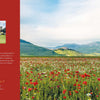 A vibrant field of red poppies leads to green hills and a village under a blue sky. On the left, a red panel with gold crown and text showcases "At Home with Royalty" from Schiffer Publishing, Ltd., highlighting luxury castle stays.