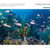 A vibrant underwater scene in Lastovo Nature Park, Croatia, features colorful coral reefs and orange-pink fish in clear blue water, capturing "The Colors of the Earth" by Schiffer Publishing, Ltd., with text and a title about the park at the top.