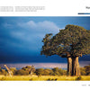 A large baobab tree towers over the African savanna as two giraffes graze nearby beneath a striking sky—a breathtaking scene from Ngorongoro Crater, Tanzania, featured in "The Colors of the Earth" by Schiffer Publishing, Ltd.