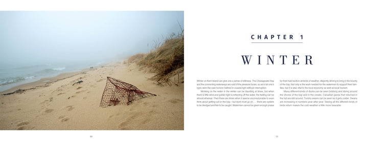 A foggy beach on the Maryland Eastern Shore with sand, dried grasses, and a rusted lobster trap—an ideal scene featured in "Kent Island Waterscapes" by Schiffer Publishing, Ltd. for fans of Chesapeake Bay photography.