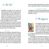 A two-page spread from Lisboa Tarot by Schiffer Publishing, Ltd. features “0: The Fool” and “I: The Magician,” each with illustrations and descriptions that highlight the deck’s Old World European tarot tradition.