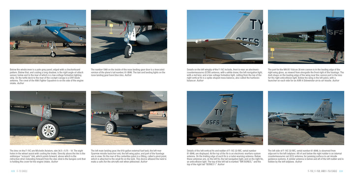 A collage of eight photos showcases close-up and side views of the F-15 Eagle by Schiffer Publishing, Ltd., highlighting its tail, cockpit, landing gear, engine, and technical details for aviation enthusiasts.