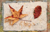 Inspired by “The Cumulative Cloth, Dry Techniques” from Schiffer Publishing, Ltd., two dried autumn leaves on handmade paper with colorful fibers provide ideas for dry textile surface design against an earthy patterned background.