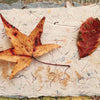 Inspired by “The Cumulative Cloth, Dry Techniques” from Schiffer Publishing, Ltd., two dried autumn leaves on handmade paper with colorful fibers provide ideas for dry textile surface design against an earthy patterned background.