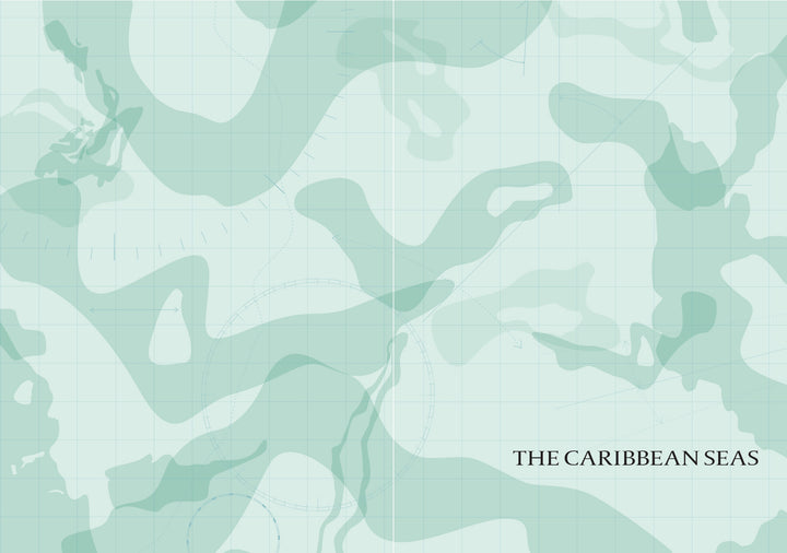 Abstract green and blue map-style illustration with grid lines and contours, evoking maritime mystery. "THE CARIBBEAN SEAS" is in the lower right. From Atlas of Shipwrecks and Fortunes of the Sea by Schiffer Publishing, Ltd.; no landmasses defined.