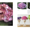 A book spread from "Marvelous Mopheads" by Schiffer Publishing, Ltd. shows a close-up of a pink and white Miss Saori hydrangea on the left page, with pastel bloom photos in gardens and vases on the right—perfect for home gardening inspiration.