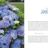 Marvelous Mopheads by Schiffer Publishing, Ltd. displays vibrant blue and purple mophead hydrangeas on the left page; the right page features a chapter, "Success with Mopheads," offering a growing guide for gardeners in varied climates.