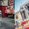 A Dalmatian, featured in "Paws of Firefighters" from Schiffer Publishing, Ltd., stands beside fire truck 74 outside a New York station and later gazes from the truck’s window, highlighting its close bond with firefighters.
