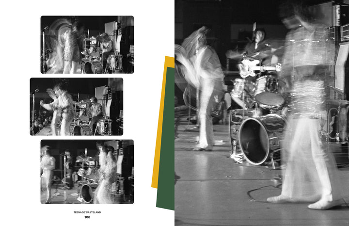 Teenage Wasteland from Schiffer Publishing, Ltd. features three black-and-white photos of a vibrant San Francisco concert, including a large shot showcasing The Who’s Winterland show with dynamic lighting, drums, and guitar action.