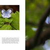 A book spread from Schiffer Publishing, Ltd.'s "The Central Appalachians" displays four nature photos—a bird on a branch, butterfly on a leaf, pink flower, and black-and-white bird—with text below the images on the left page.