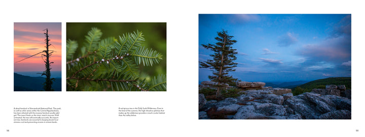 Three nature photos from "The Central Appalachians" by Schiffer Publishing, Ltd.: a sunset tree silhouette, pine needles close-up, and a rocky overlook with trees below a blue sky—capturing this region's rich biodiversity.