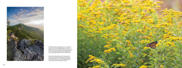Capture the rich biodiversity of The Central Appalachians by Schiffer Publishing, Ltd., with sunrise views of rocky cliffs, lush greenery, vibrant yellow wildflowers, and a monarch butterfly in this stunning nature photography.