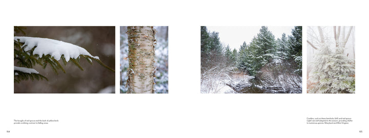 A spread from "The Central Appalachians" by Schiffer Publishing, Ltd. features four winter nature photos: snow-covered pine needles, a birch tree close-up, snow-dusted evergreens by a creek, and frosted branches. Minimal text appears below.