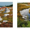 Side-by-side photos: left, a blueberry field with boulders and water; right, a winding stream with autumn foliage—stunning imagery from Maine by Schiffer Publishing, Ltd., ideal for photography and travel inspiration.