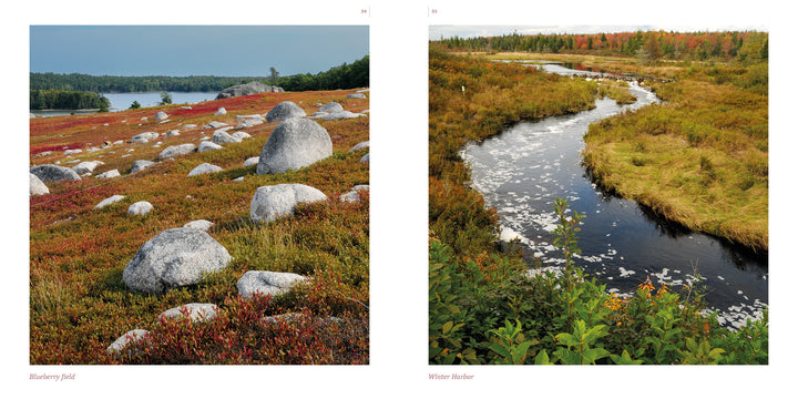 Side-by-side photos: left, a blueberry field with boulders and water; right, a winding stream with autumn foliage—stunning imagery from Maine by Schiffer Publishing, Ltd., ideal for photography and travel inspiration.
