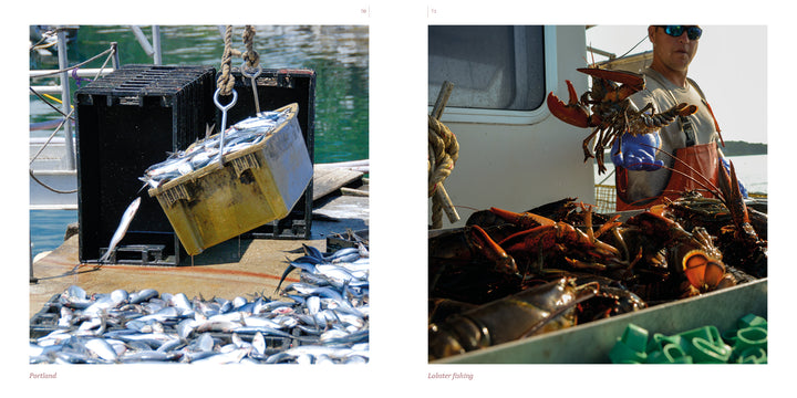 Left: Small fish are lifted in a crate with more on the dock and water beyond. Right: A person shows off large lobsters on a boat—capturing Maine by Schiffer Publishing, Ltd. in authentic travel photography.