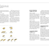 A two-page spread from "Innovations in Mass Timber" by Schiffer Publishing, Ltd. explains types of mass timber, their properties, environmental advantages, and uses in commercial buildings with diagrams, tables, headings, and detailed text blocks.